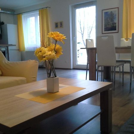 Rodinny Apartman Lucie V Blizkosti Wellness Hotelu Ve Frymburku Esterno foto