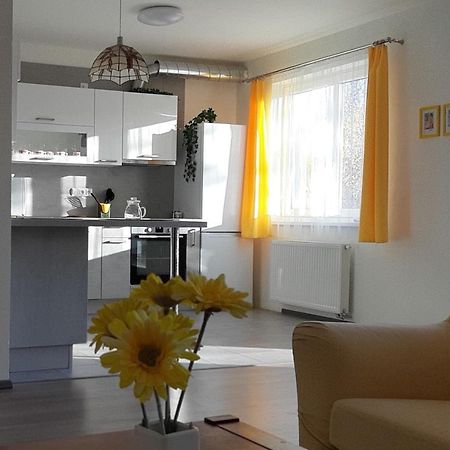 Rodinny Apartman Lucie V Blizkosti Wellness Hotelu Ve Frymburku Esterno foto
