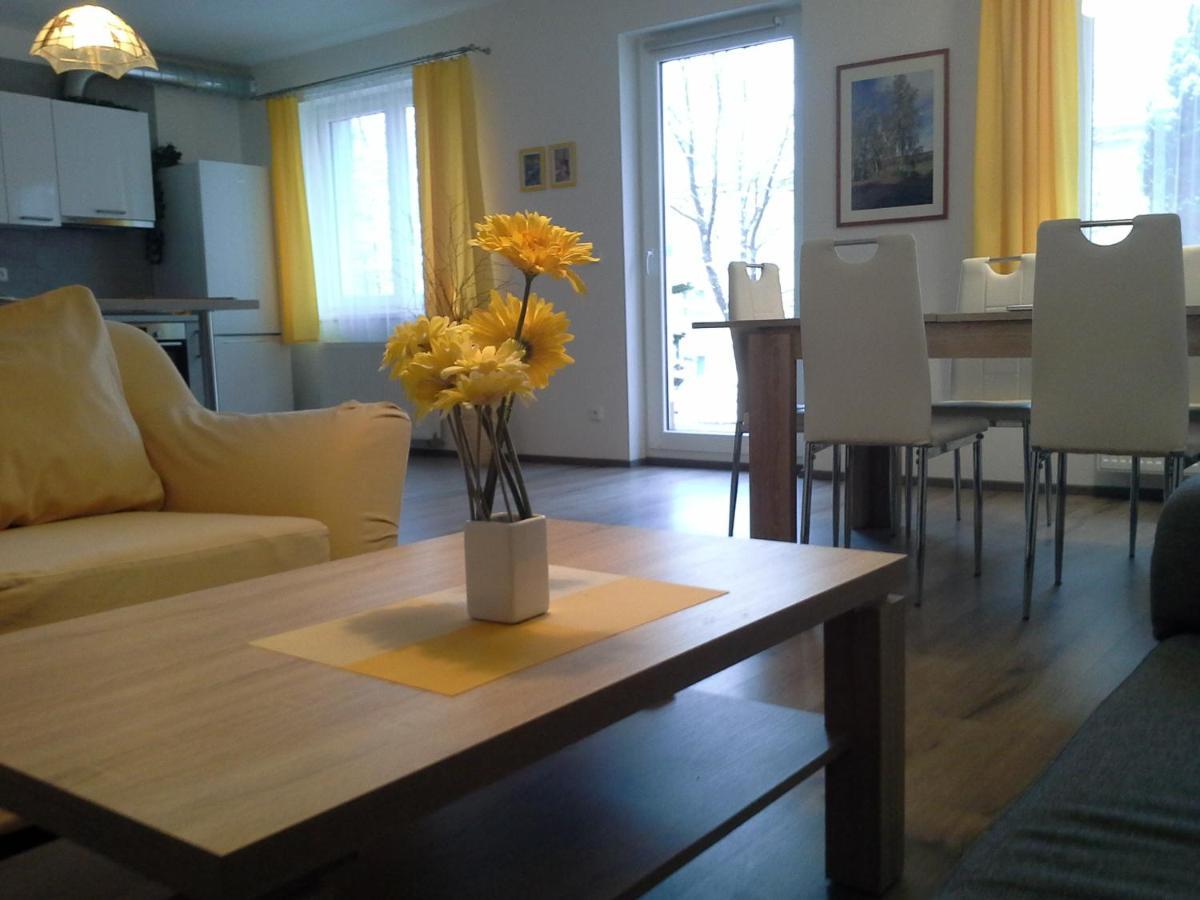Rodinny Apartman Lucie V Blizkosti Wellness Hotelu Ve Frymburku Esterno foto