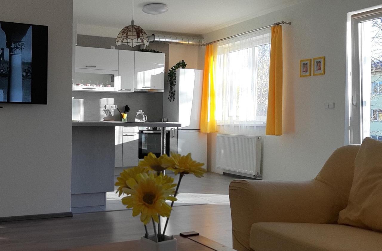 Rodinny Apartman Lucie V Blizkosti Wellness Hotelu Ve Frymburku Esterno foto