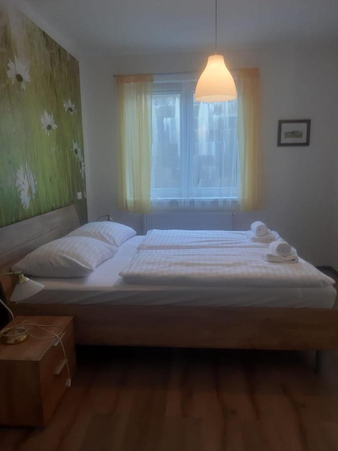 Rodinny Apartman Lucie V Blizkosti Wellness Hotelu Ve Frymburku Esterno foto